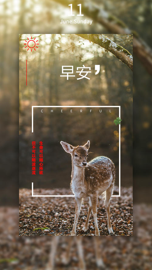 送给情人暖心的早安话语