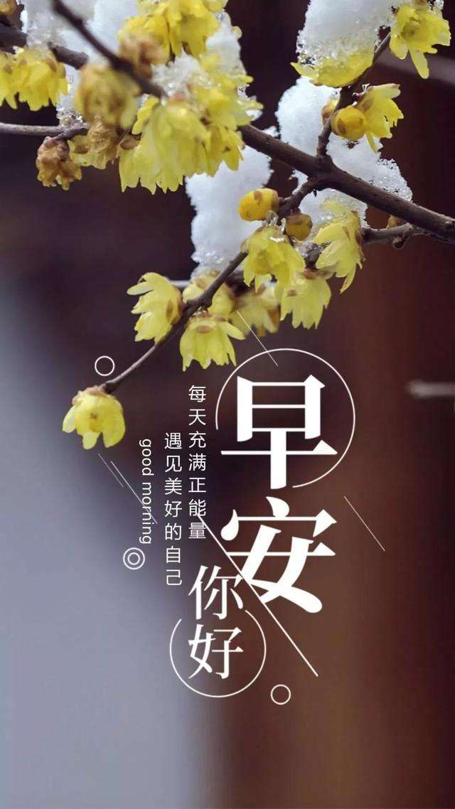 一些早安的暖心句子
