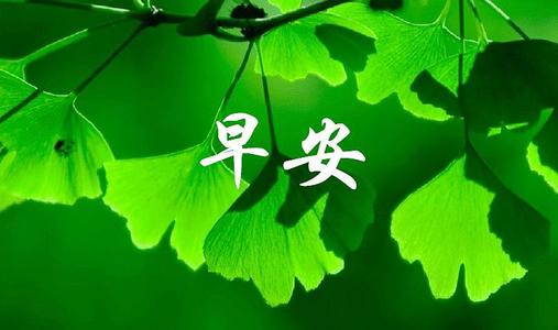 早安暖心话正能量爆棚