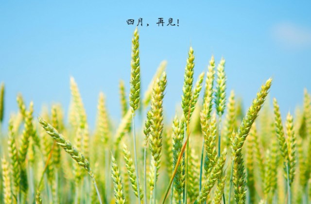 四月再见五月你好句子 告别四月迎接五月正能量说说
