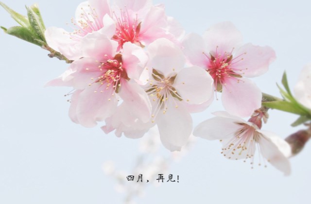 四月再见五月你好句子 告别四月迎接五月正能量说说