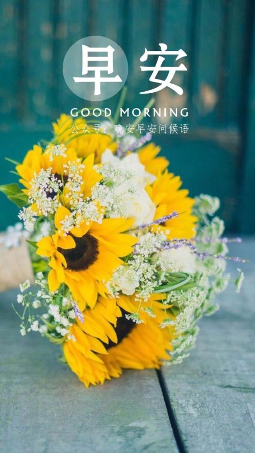 每日晨语分享正能量早安文案