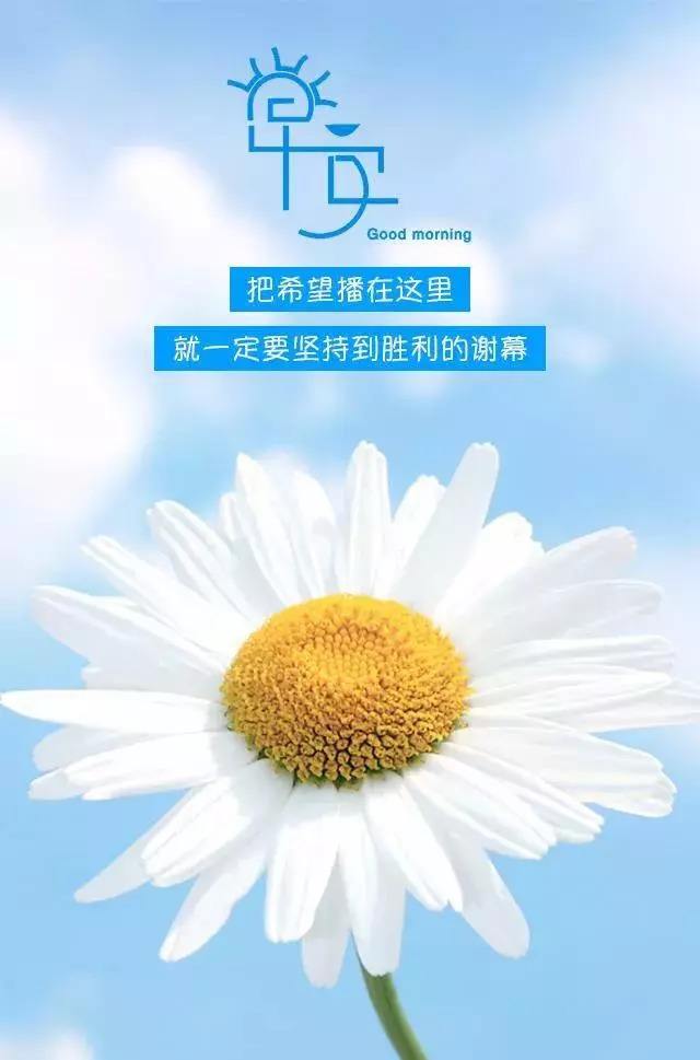 对男朋友说的英文情话_跟女朋友说的情话_对男朋友说肉麻的情话