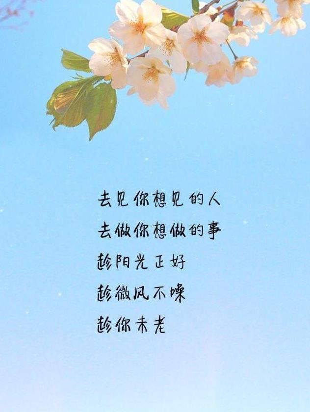人生感悟的句子发朋友圈致自己一句话
